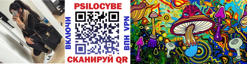 купить наркотики сайты  Кирсанов  Псилоцибиновые грибы Psilocybine cubensis 